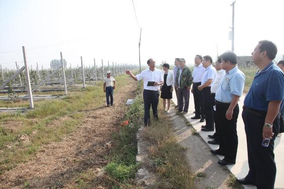 省评估专家组实地考察我校转型试点并组织访谈和座谈